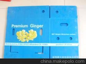 淄博晴天树包装制品 专业生产PP中空箱，高品质塑料箱的选择